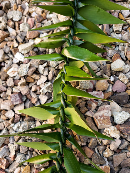 Maile Style Ti Leaf Lei