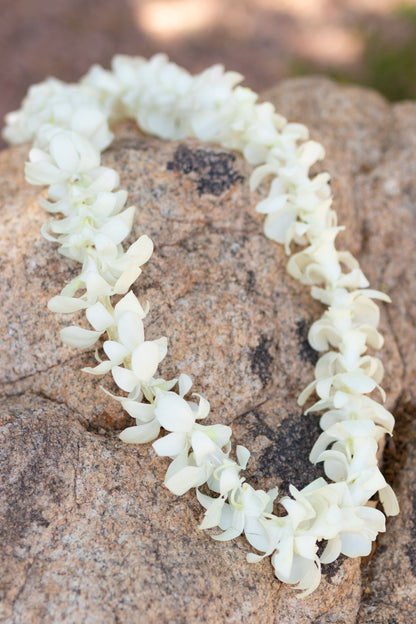 Single Orchid Lei - White